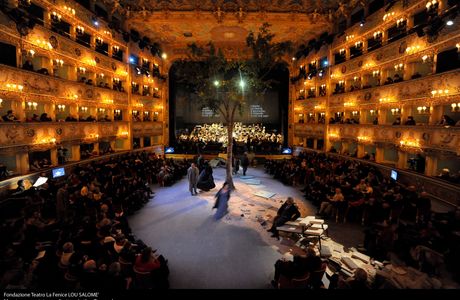 La Fenice Centro Estetico e Benessere