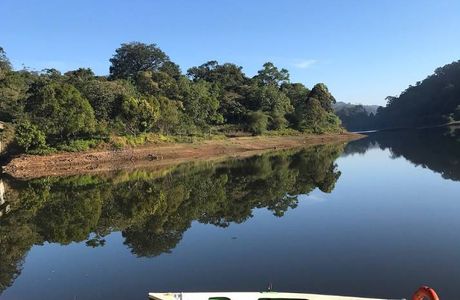 Periyar Wildlife Sanctuary