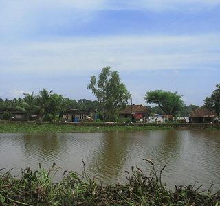 Kakkathuruthu Island