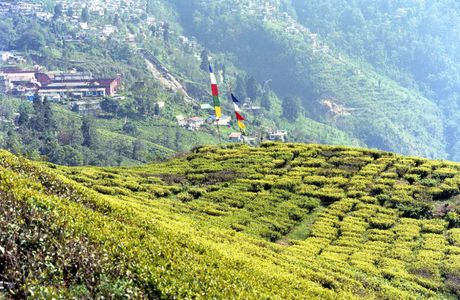 Chattakpur