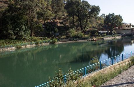 Saria Tal