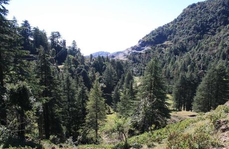 Benog Wildlife Sanctuary