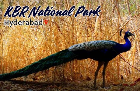 KBR National Park