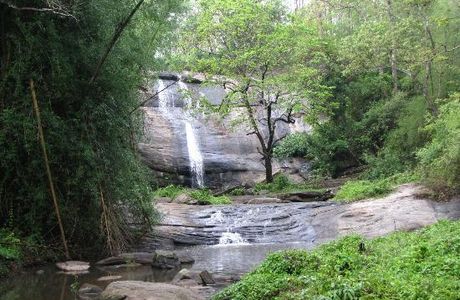 Indira Gandhi Wildlife Sanctuary and National Park