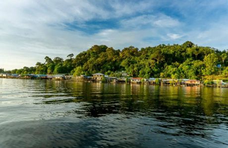 Kuching Wetlands National Park