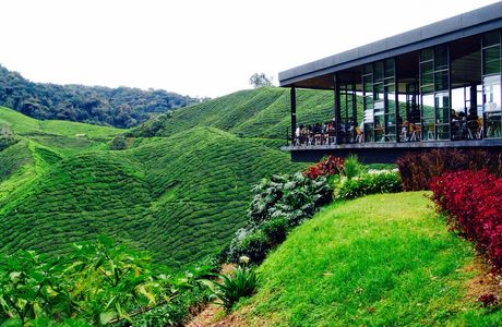 Cameron Highlands Butterfly Garden