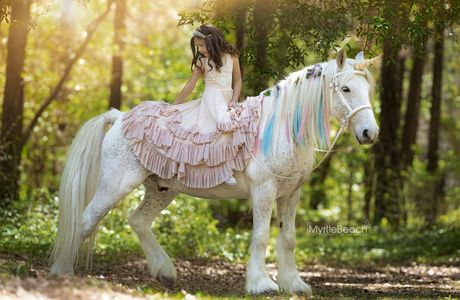 Unicorn Gallery