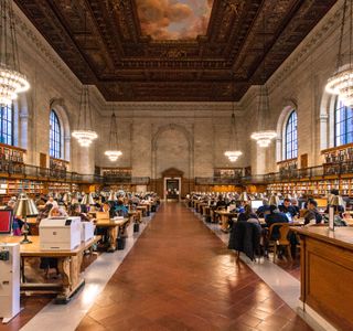 The Library