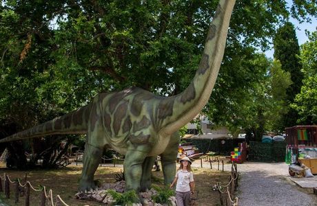 DINO SECRETS