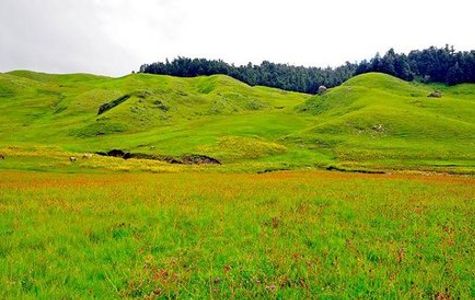 Khaptad National Park 1