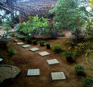 Badora Spa