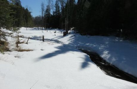 Snowdon Park Preserve