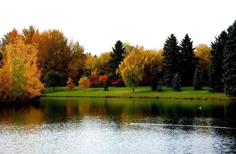 William Hawrelak Park