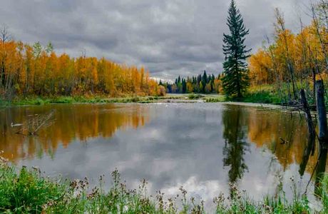 Elk Island National Park