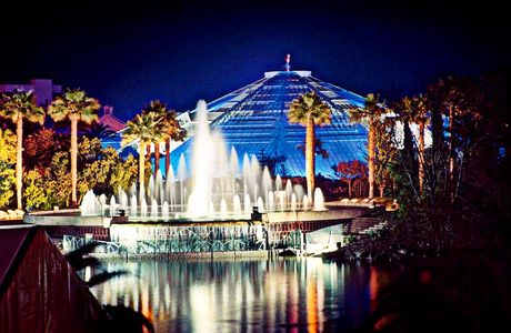 Phoenix Parc Floral de Nice