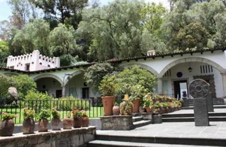 Museo Dolores Olmedo Patino