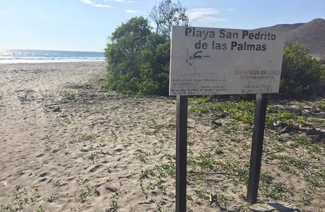 Playa Las Palmas