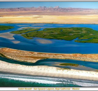San Ignacio Lagoon