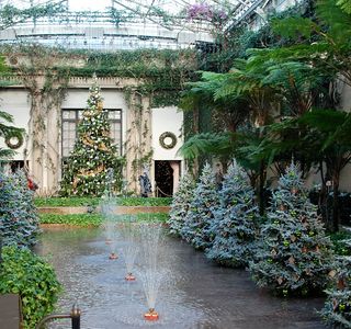 Winter Garden Exhibition Hall