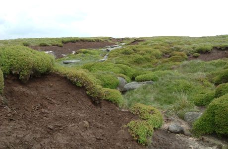 Goreljek Peat Bog