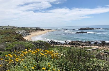 Pescadero State Beach