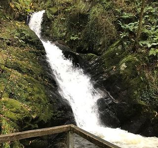 Dolgoch Falls