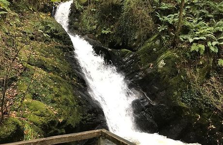 Dolgoch Falls