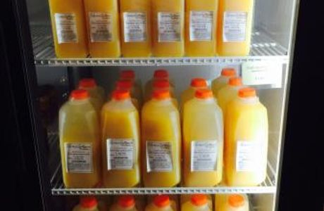 Sunsational Citrus