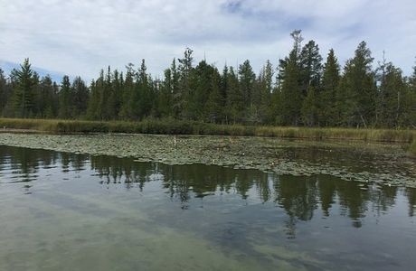 Grass River Natural Area