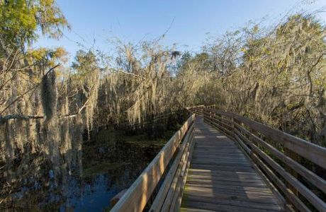 Lettuce Lake Regional Park