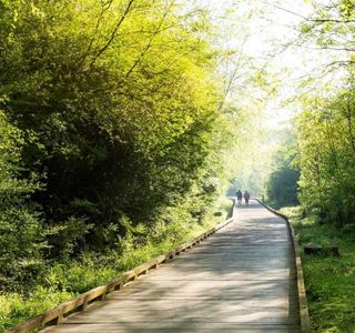 Suwanee Creek Greenway