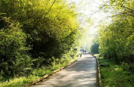 Suwanee Creek Greenway