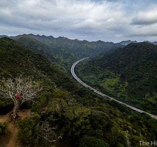 Aiea Loop Trail