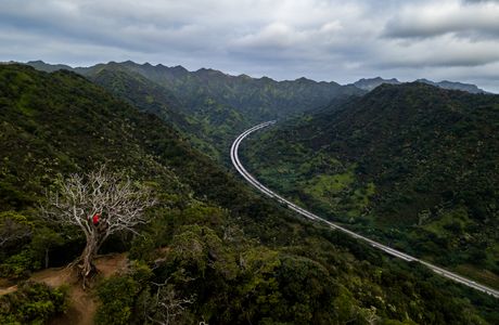 Aiea Loop Trail