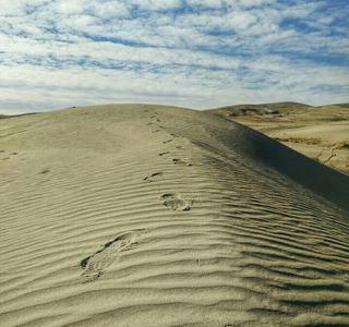 Winnemucca Sand Dunes