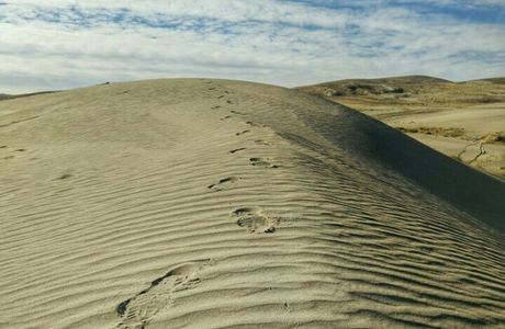 Winnemucca Sand Dunes