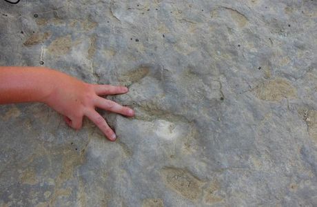 Red Gulch Dinosaur Tracks