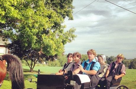Amish Impressions