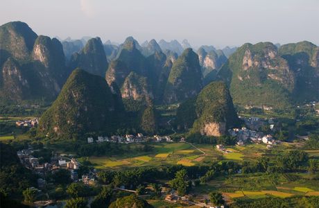 Peach Garden of Daling Mountain