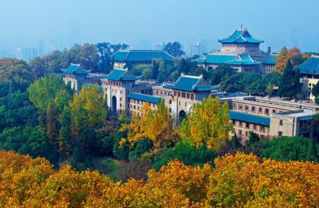 Wuhan University