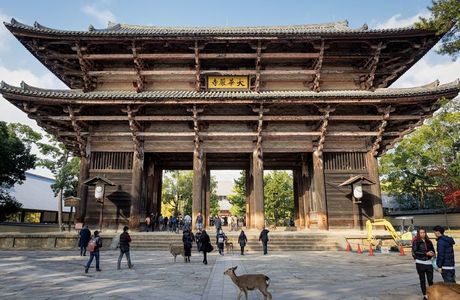 Dongtu Gate