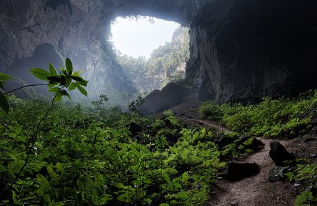 Forest Hill Caves