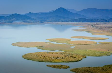 South Dagang Wetland