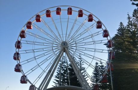 Tourist Wheel Fremantle