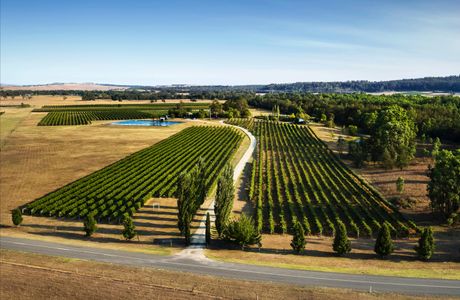 Tinonee Vineyard Estate
