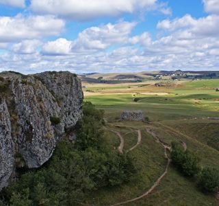 L Aubrac