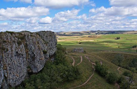 L Aubrac