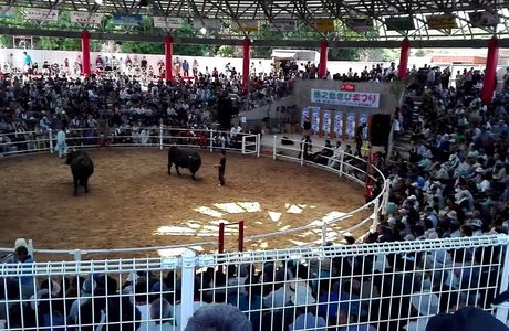 Tokunoshima Leisure Pool