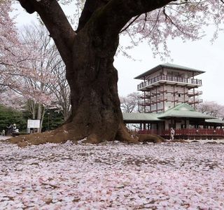 Kasegawa Ryokuchi Park