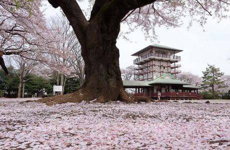 Kasegawa Ryokuchi Park